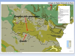 Complexo xisto-grauváquico
Granito
 