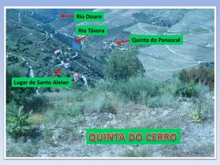 Lugar de Santo Aleixo
Quinta do Panascal
Rio Távora
Rio Douro
 