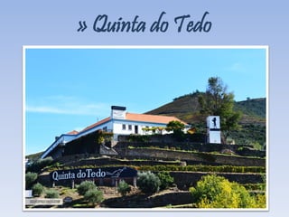 » Quinta do Tedo
 