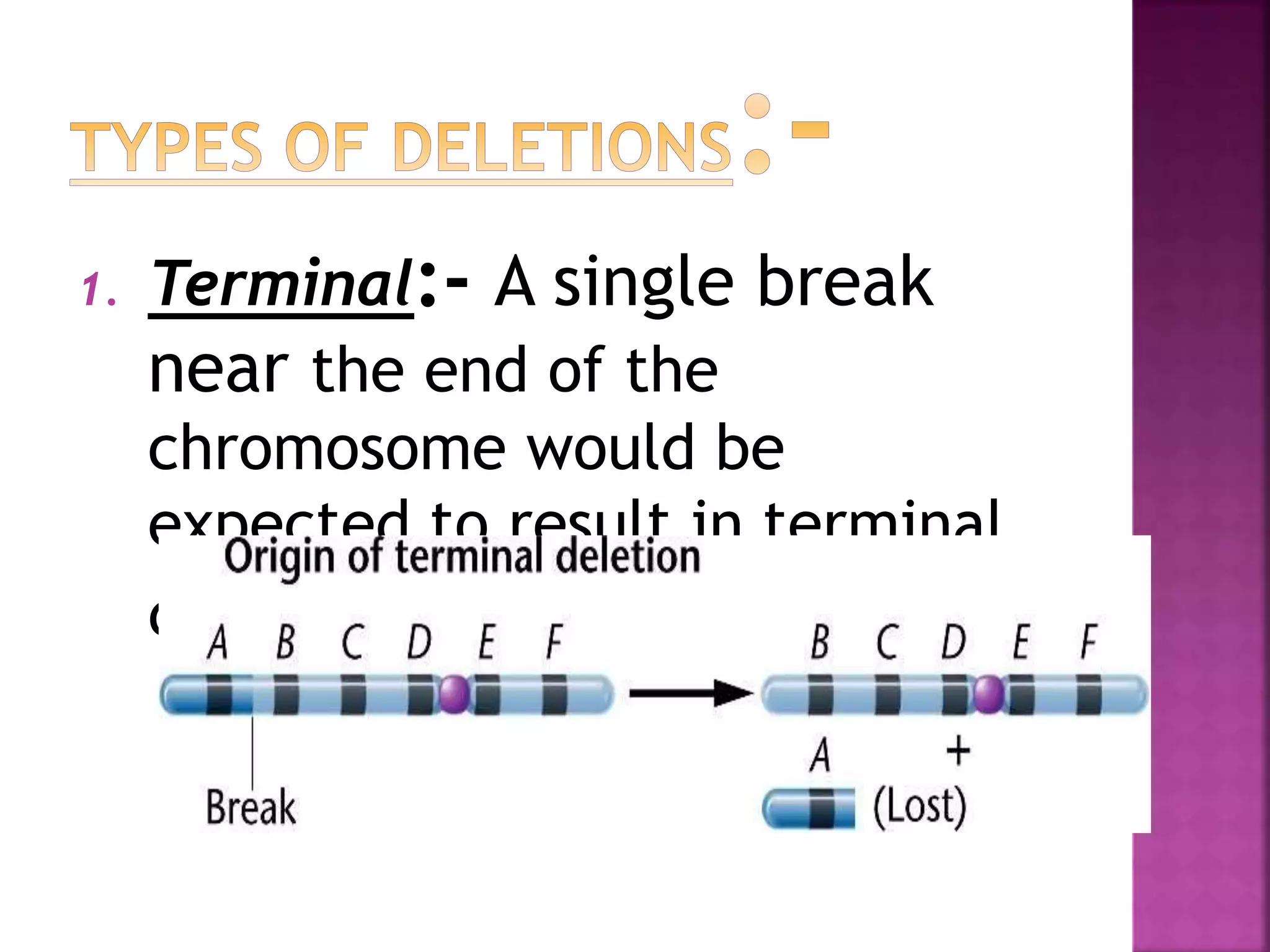 1. Terminal:- A single break
near the end of the
chromosome would be
expected to result in terminal
deletion.
 