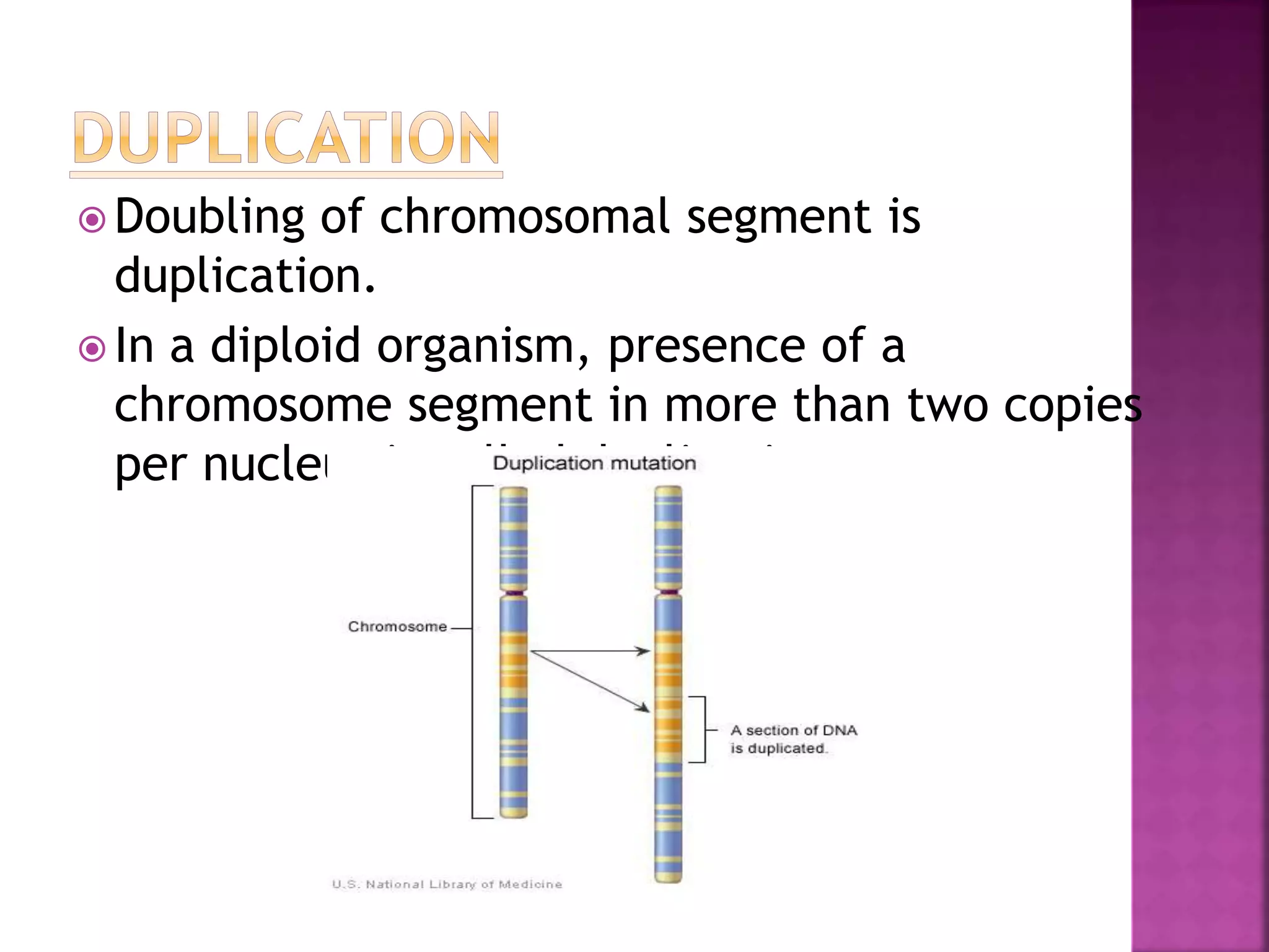  Doubling of chromosomal segment is
duplication.
 In a diploid organism, presence of a
chromosome segment in more than two copies
per nucleus is called duplication.
 