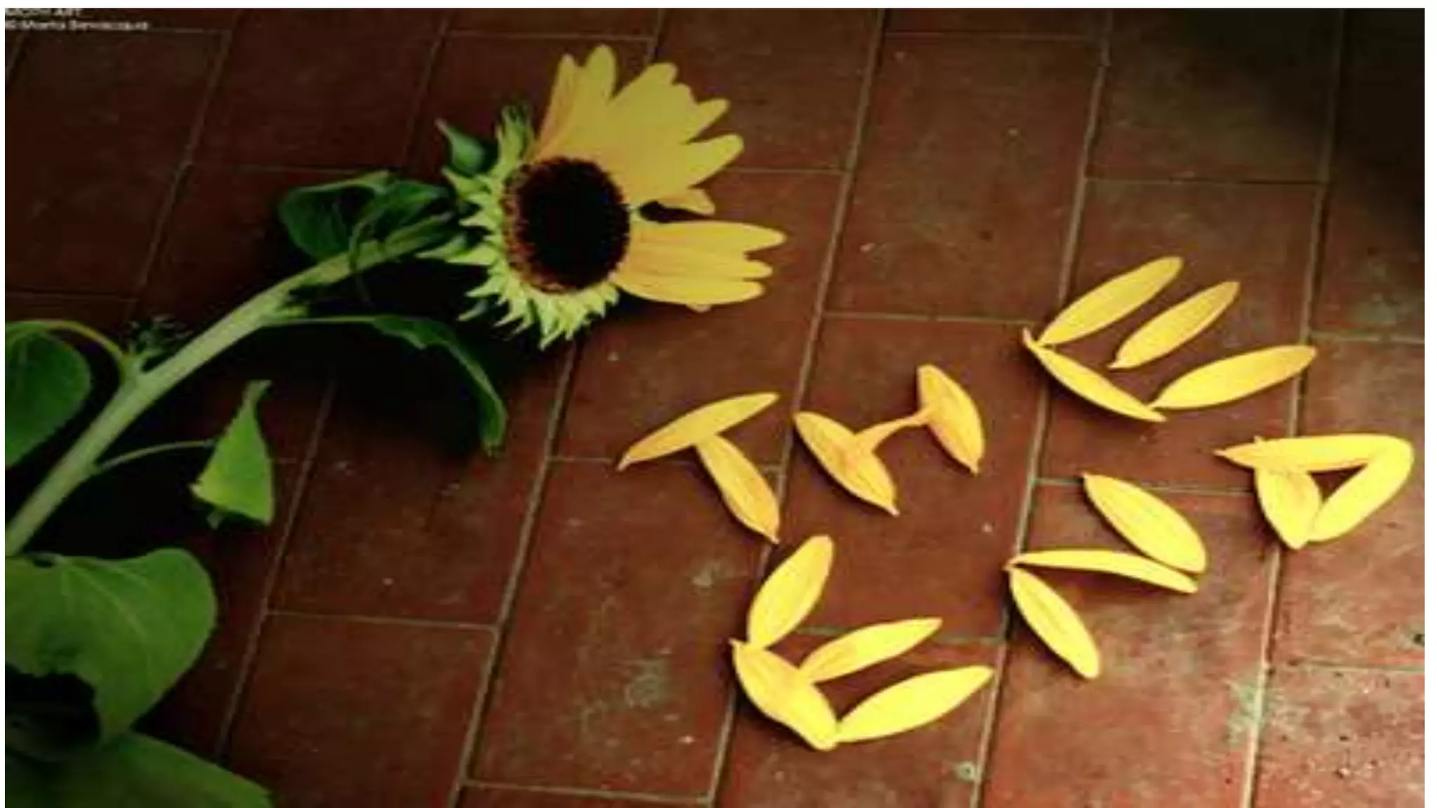 Classification of Computer