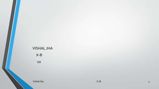 VISHAL JHA
X-B
10
1Vishal Jha X-B
 