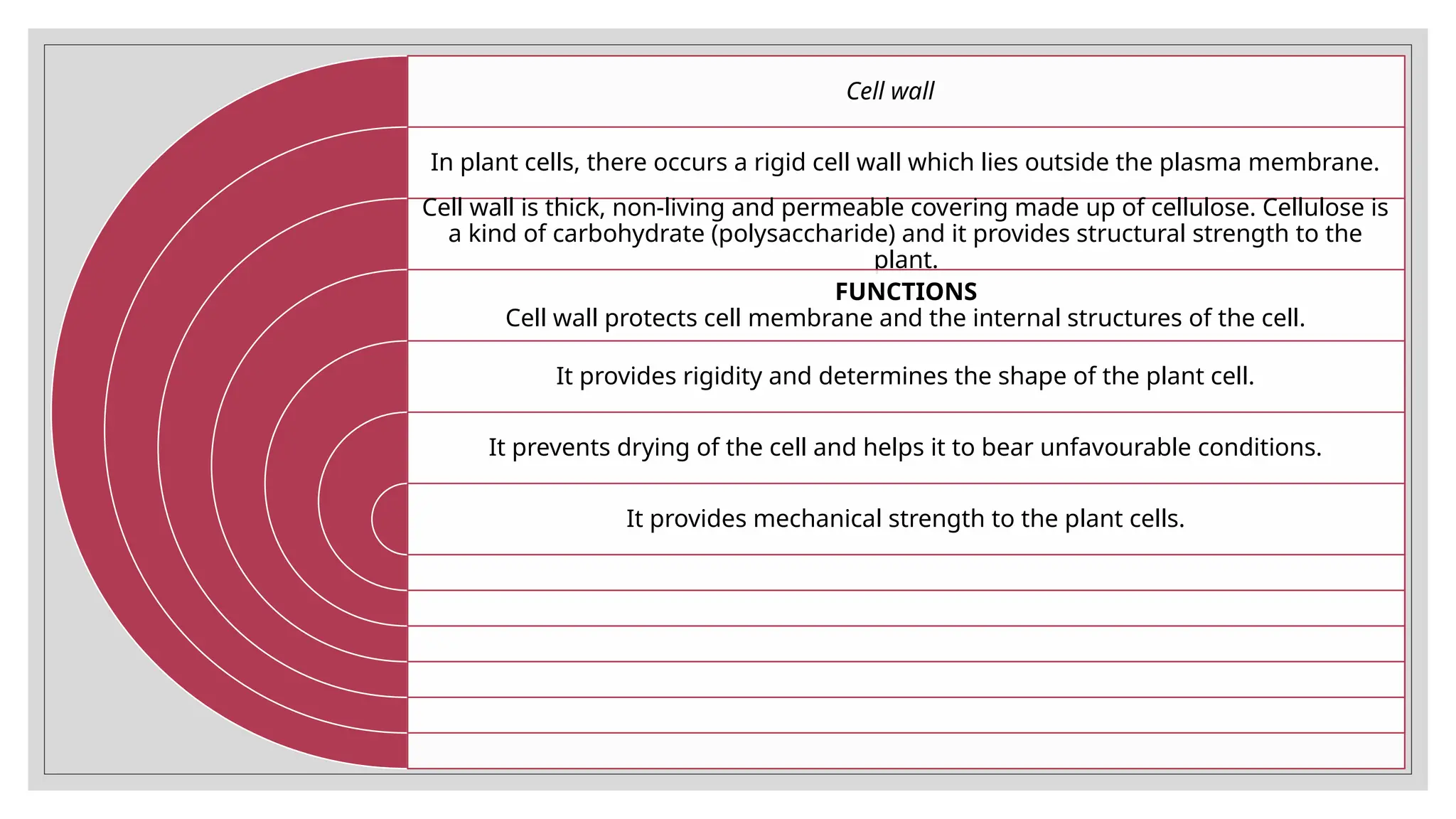 Cell wall
In plant cells, there occurs a rigid cell wall which lies outside the plasma membrane.
Cell wall is thick, non-living and permeable covering made up of cellulose. Cellulose is
a kind of carbohydrate (polysaccharide) and it provides structural strength to the
plant.
FUNCTIONS
Cell wall protects cell membrane and the internal structures of the cell.
It provides rigidity and determines the shape of the plant cell.
It prevents drying of the cell and helps it to bear unfavourable conditions.
It provides mechanical strength to the plant cells.
 