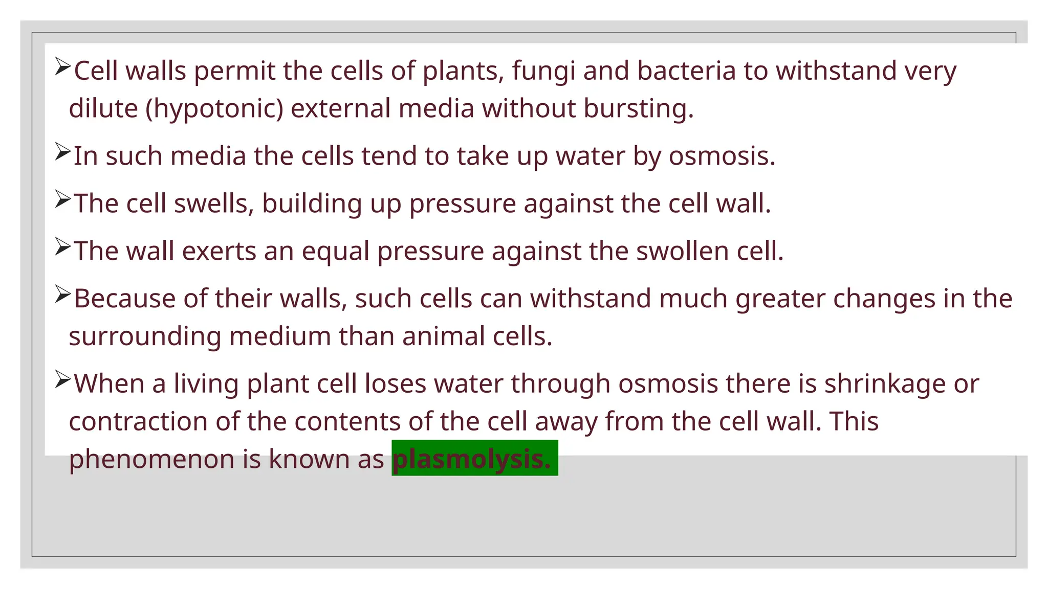 Cell walls permit the cells of plants, fungi and bacteria to withstand very
dilute (hypotonic) external media without bursting.
In such media the cells tend to take up water by osmosis.
The cell swells, building up pressure against the cell wall.
The wall exerts an equal pressure against the swollen cell.
Because of their walls, such cells can withstand much greater changes in the
surrounding medium than animal cells.
When a living plant cell loses water through osmosis there is shrinkage or
contraction of the contents of the cell away from the cell wall. This
phenomenon is known as plasmolysis.
 