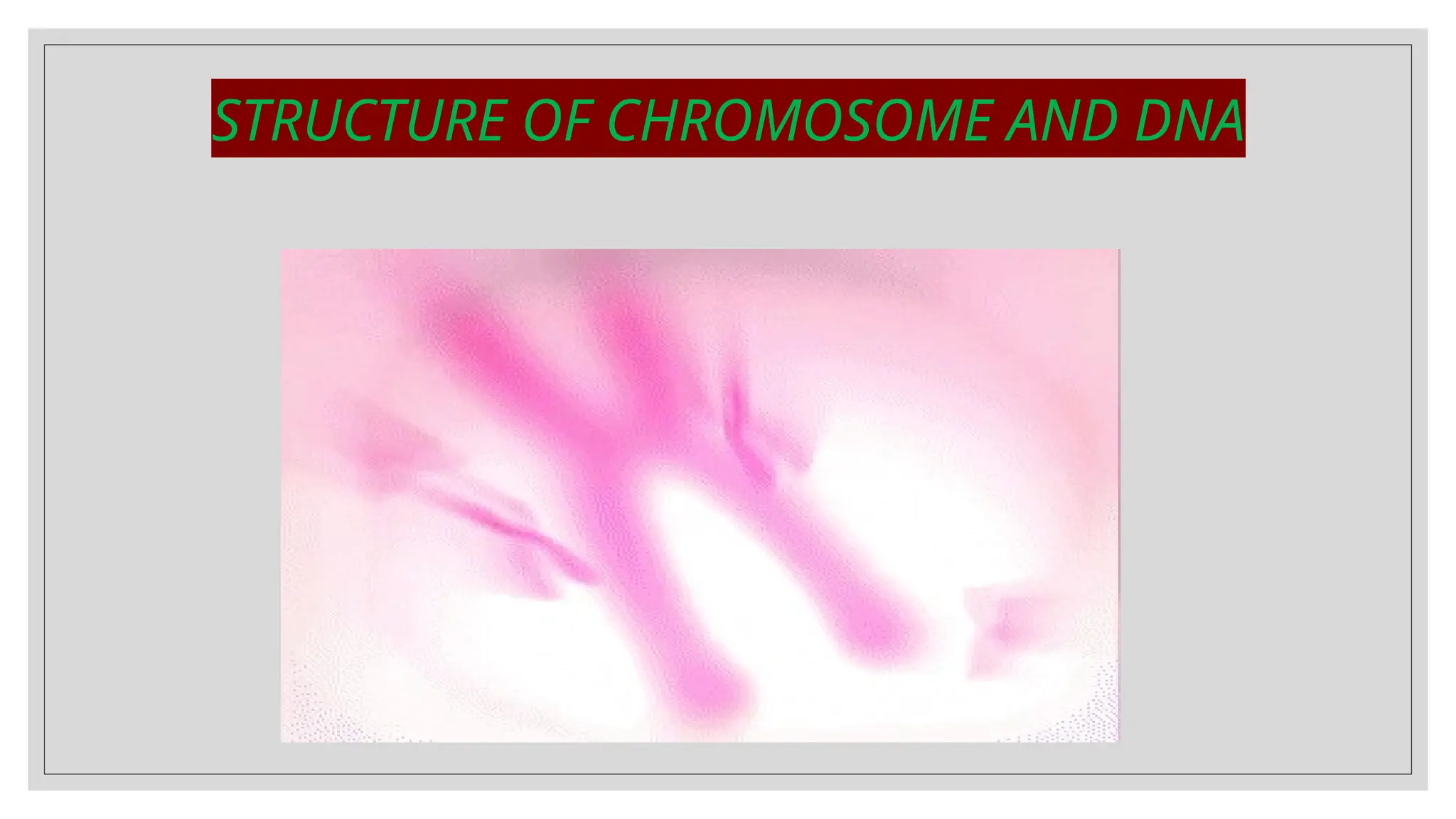 STRUCTURE OF CHROMOSOME AND DNA
 