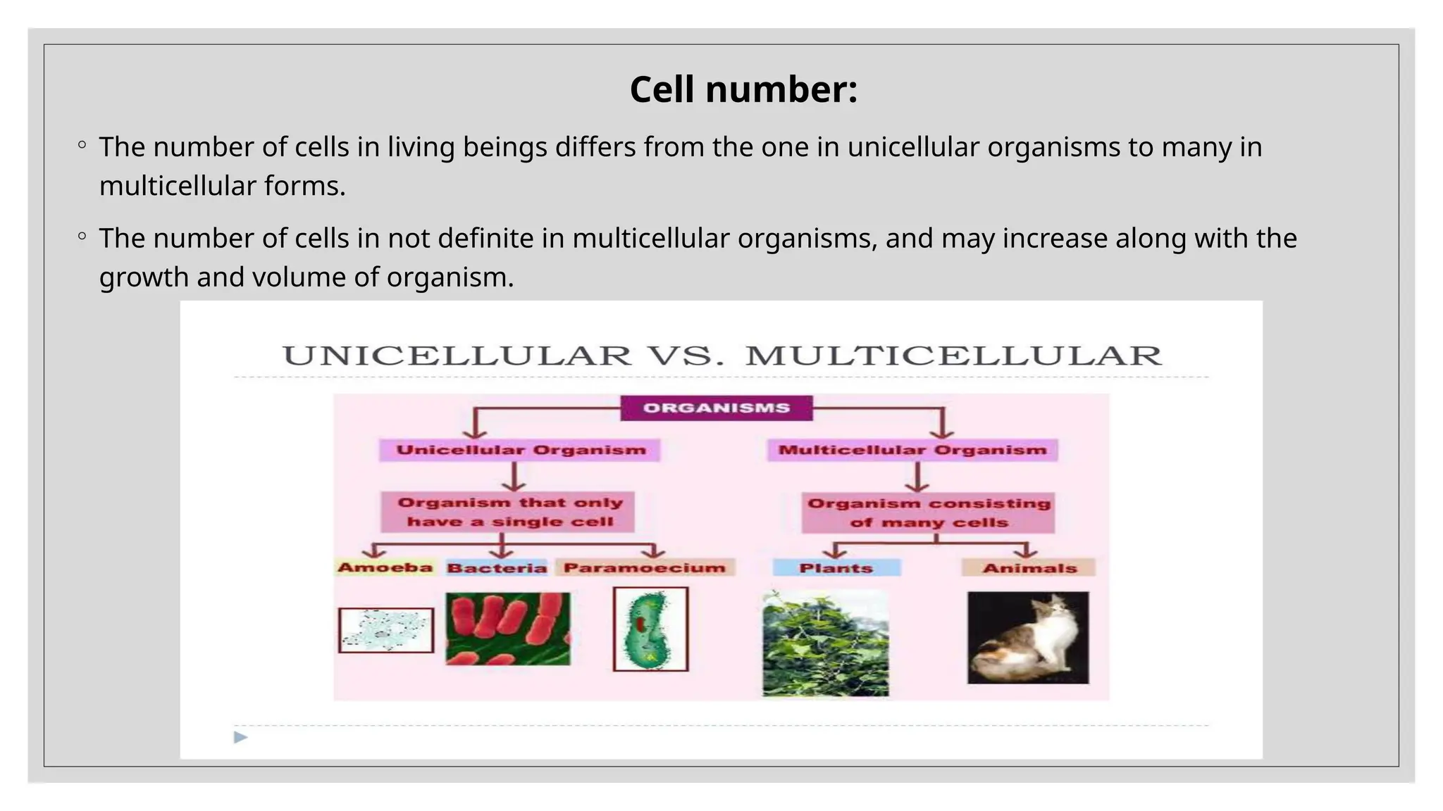 Cell number:
◦ The number of cells in living beings differs from the one in unicellular organisms to many in
multicellular forms.
◦ The number of cells in not definite in multicellular organisms, and may increase along with the
growth and volume of organism.
 