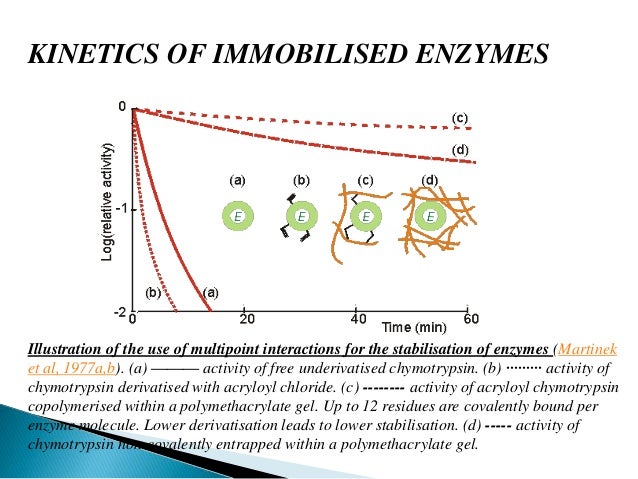 Example apa research paper title page image 2