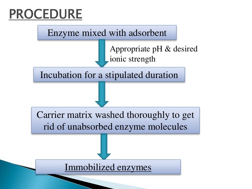 Immobilization of enzymes