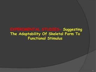 43
EXPERIMENTAL STUDIES- Suggesting
The Adaptability Of Skeletal Form To
Functional Stimulus
 