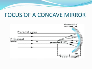 FOCUS OF A CONCAVE MIRROR 
 