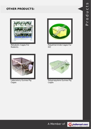 A Member of
OTHER PRODUCTS:
Metabolic Cages For
Rodents
Polyetherimide Cages For
IVC
Laboratory Guinea Pig
Cages
Polypropylene Guinea Pig
Cages
Products
 