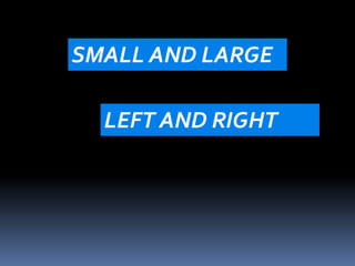 SMALL AND LARGE 
LEFT AND RIGHT 
 