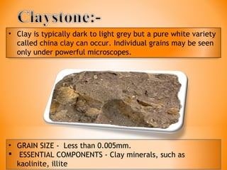 • Clay is typically dark to light grey but a pure white variety
called china clay can occur. Individual grains may be seen
only under powerful microscopes.
• GRAIN SIZE - Less than 0.005mm.
 ESSENTIAL COMPONENTS - Clay minerals, such as
kaolinite, illite
 