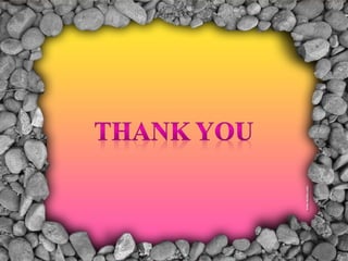 Vishnu clastic rock ppt