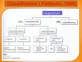 ConglomerateConglomerate
(A) (B)
 