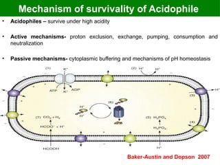 Microbial Adaptations to Extreme Environments: Sub-zero, Deep Sea, and ...