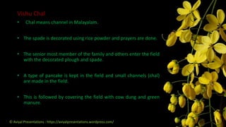 Vishu Chal
• Chal means channel in Malayalam.
• The spade is decorated using rice powder and prayers are done.
• The senior most member of the family and others enter the field
with the decorated plough and spade.
• A type of pancake is kept in the field and small channels (chal)
are made in the field.
• This is followed by covering the field with cow dung and green
manure.
© Aviyal Presentations : https://aviyalpresentations.wordpress.com/
 