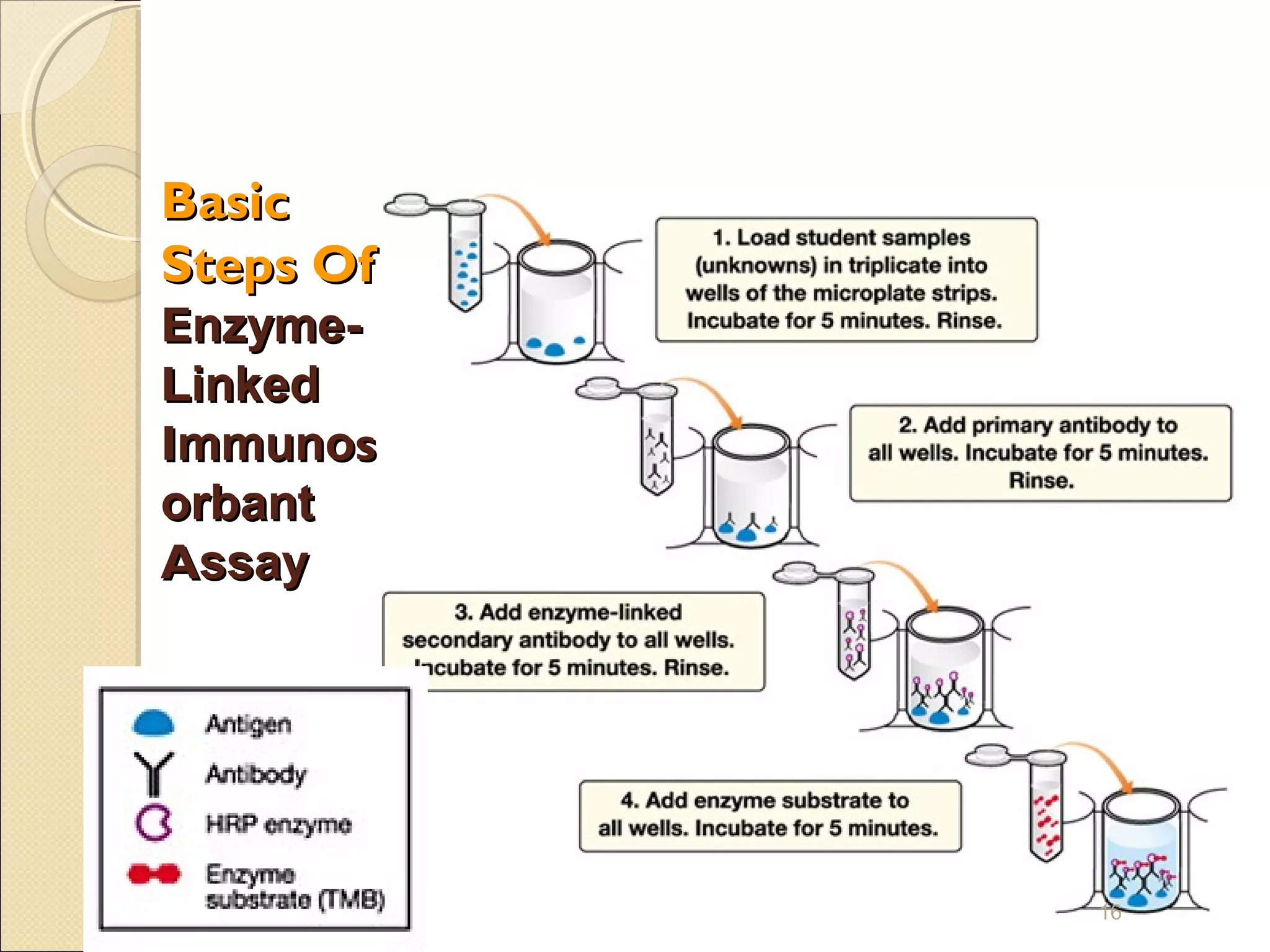 Basic
Steps Of
Enzyme-
Linked
Immunos
orbant
Assay




           16
 