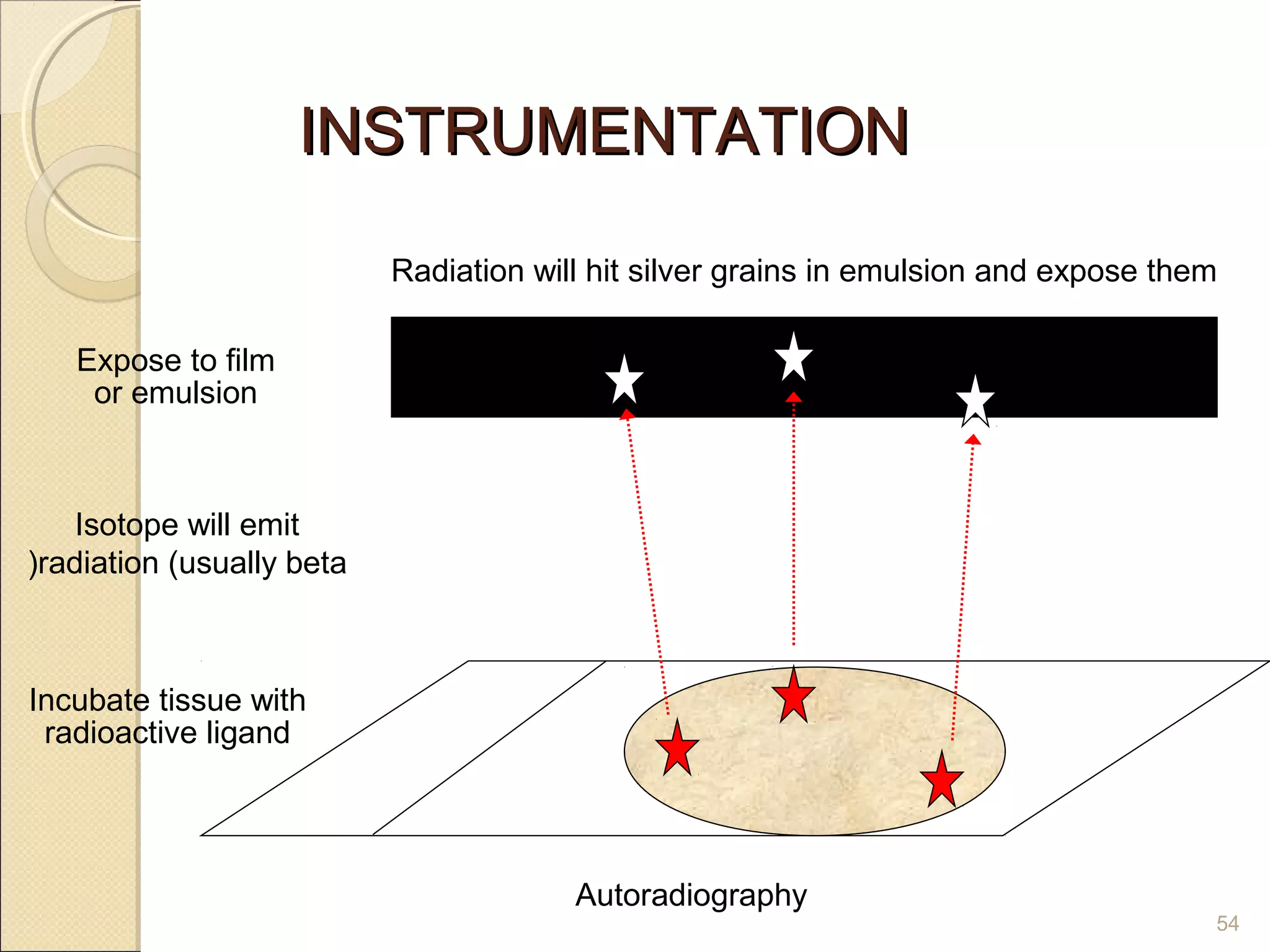 INSTRUMENTATION

                           Radiation will hit silver grains in emulsion and expose them

   Expose to film
    or emulsion



    Isotope will emit
(radiation (usually beta



Incubate tissue with
 radioactive ligand




                                        Autoradiography
                                                                                      54
 