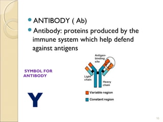 ANTIBODY      ( Ab)
 Antibody: proteins produced by the
  immune system which help defend
  against antigens


SYMBOL FOR
ANTIBODY




 Y
                                       10
 