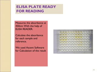 ELISA PLATE READY
FOR READING


Measures the absorbance at
450nm With the help of
ELISA READER.

Calculate the absorbance
for each sample and
reference.

We used Ascent Software
for Calculation of the result




                                29
 