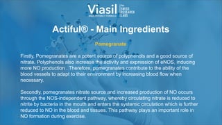Actiful® - Main Ingredients
Pomegranate
Firstly, Pomegranates are a potent source of polyphenols and a good source of
nitrate. Polyphenols also increase the activity and expression of eNOS, inducing
more NO production . Therefore, pomegranates contribute to the ability of the
blood vessels to adapt to their environment by increasing blood flow when
necessary.
Secondly, pomegranates nitrate source and increased production of NO occurs
through the NOS-independent pathway, whereby circulating nitrate is reduced to
nitrite by bacteria in the mouth and enters the systemic circulation which is further
reduced to NO in the blood and tissues. This pathway plays an important role in
NO formation during exercise.
 
