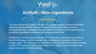 Actiful® - Main Ingredients
Citrus Sinensis
The active flavanoid in citrus, activates the phosphorylation of Endothelial Nitric
Oxide Synthase (eNOS), the key enzyme for Nitric Oxide (NO) synthesis.
Consequently, NO is increased having a beneficial effect on the endothelium by
promoting vasodilation and therefore increasing blood flow.
Furthermore, this flavonoid enhances ATP production at the mitochondrial level
due to a blockage of proton leakage and a subsequent increased efficiency of
oxygen usage. This improves the respiration capacity of the mitochondria resulting
in more ATP production and is responsible for the ability of an increased power
output as found in the clinical study.
 