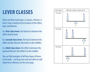 Visible-Body-eBook_Levers for better understanding | PDF