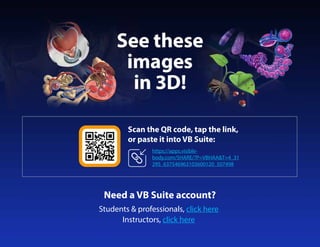   ­€_‚ƒ
„ †_‡‚ˆ†€‡ ‡‚ƒ‰‚‡‰‰ƒ„‰_†‰ˆ€ Š
    
  
 