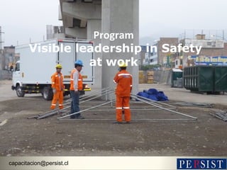 Program
Visible leadership in Safety
at work
capacitacion@persist.cl
 