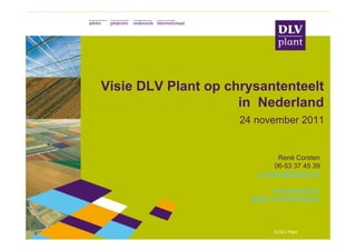 Visie DLV Plant op chrysantenteelt
                     in Nederland
                     24 november 2011


                                René Corsten
                               06-53 37 45 39
                        r.corsten@dlvplant.nl

                                www.dlvplant.nl
                       twitter.com/dlvchrysant



                               © DLV Plant
 