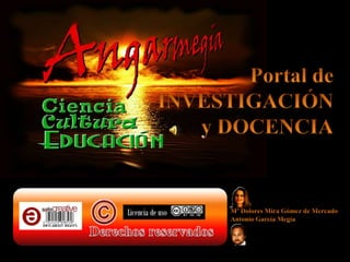 Portal de INVESTIGACIÓN y DOCENCIA Mª Dolores Mira Gómez de Mercado Antonio García Megía Derechos reservados 