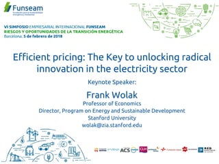 Efficient pricing: The Key to unlocking radical
innovation in the electricity sector
Keynote Speaker:
Frank Wolak
Professor of Economics
Director, Program on Energy and Sustainable Development
Stanford University
wolak@zia.stanford.edu
 
