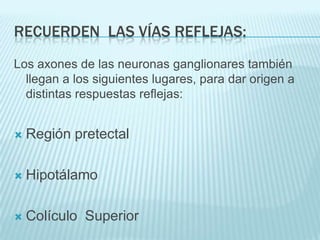 Recuerden  las vías reflejas:Los axones de las neuronas ganglionares también llegan a los siguientes lugares, para dar origen a distintas respuestas reflejas:Región pretectalHipotálamoColículo  Superior