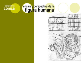 cónica
perspectiva
figura humana
encaje y perspectiva de la
 
