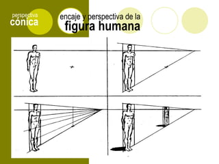cónica
perspectiva
figura humana
encaje y perspectiva de la
 