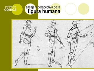 cónica
perspectiva
figura humana
encaje y perspectiva de la
 