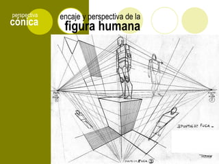 cónica
perspectiva
DALÍ
figura humana
encaje y perspectiva de la
 