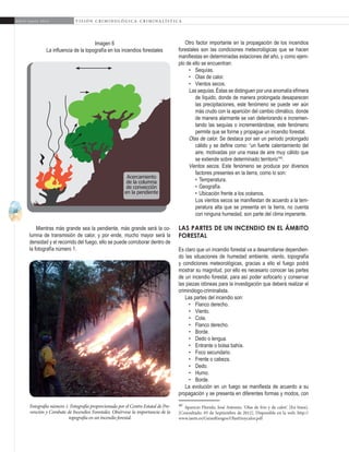22
A b r i l - J u n i o 2 0 1 5 V I S I Ó N C R I M I N O L Ó G I C A - C R I M I N A L Í S T I C A
Otro factor importante en la propagación de los incendios
forestales son las condiciones meteorológicas que se hacen
manifiestas en determinadas estaciones del año, y como ejem-
plo de ello se encuentran:
•	 Sequías.
•	 Olas de calor.
•	 Vientos secos.
Las sequías. Éstas se distinguen por una anomalía efímera
de líquido, donde de manera prolongada desaparecen
las precipitaciones, este fenómeno se puede ver aún
más crudo con la aparición del cambio climático, donde
de manera alarmante se van deteriorando e incremen-
tando las sequías o incrementándose, este fenómeno
permite que se forme y propague un incendio forestal.
Olas de calor. Se destaca por ser un periodo prolongado
cálido y se define como: “un fuerte calentamiento del
aire, motivadas por una masa de aire muy cálido que
se extiende sobre determinado territorio”40
.
Vientos secos. Este fenómeno se produce por diversos
factores presentes en la tierra, como lo son:
	 •	 Temperatura.
	 •	 Geografía.
	 •	 Ubicación frente a los océanos.
Los vientos secos se manifiestan de acuerdo a la tem-
peratura alta que se presenta en la tierra, no cuenta
con ninguna humedad, son parte del clima imperante.
Las partes de un incendio en el ámbito
forestal
Es claro que un incendio forestal va a desarrollarse dependien-
do las situaciones de humedad ambiente, viento, topografía
y condiciones meteorológicas, gracias a ello el fuego podrá
mostrar su magnitud, por ello es necesario conocer las partes
de un incendio forestal, para así poder sofocarlo y conservar
las piezas idóneas para la investigación que deberá realizar el
criminólogo-criminalista.
Las partes del incendio son:
•	 Flanco derecho.
•	 Viento.
•	 Cola.
•	 Flanco derecho.
•	 Borde.
•	 Dedo o lengua.
•	 Entrante o bolsa bahía.
•	 Foco secundario.
•	 Frente o cabeza.
•	 Dedo.
•	 Humo.
•	 Borde.
La evolución en un fuego se manifiesta de acuerdo a su
propagación y se presenta en diferentes formas y modos, con
40
Aparicio Florido, José Antonio. ‘Olas de frío y de calor’. [En línea].
[Consultado: 05 de Septiembre de 2012]. Disponible en la web: http://
www.iaem.es/GuiasRiesgos/Olasfrioycalor.pdf
Mientras más grande sea la pendiente, más grande será la co-
lumna de transmisión de calor, y por ende, mucho mayor será la
densidad y el recorrido del fuego, ello se puede corroborar dentro de
la fotografía número 1.
Acercamiento
de la columna
de convección
en la pendiente
Fotografía número 1. Fotografía proporcionada por el Centro Estatal de Pre-
vención y Combate de Incendios Forestales. Obsérvese la importancia de la
topografía en un incendio forestal.
Imagen 6
La influencia de la topografía en los incendios forestales
 