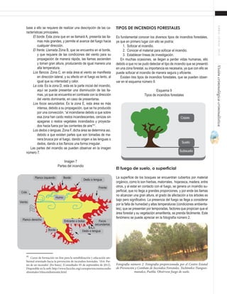 23
ABRIL-JUNIO2015Visióncriminológica-criminalística
Tipos de incendios forestales
Es fundamental conocer los diversos tipos de incendios forestales,
ya que en primero lugar con ello se podría:
1.	 Sofocar el incendio.
2.	 Conocer el material para sofocar el incendio.
3.	 Establecer líneas de investigación.
En muchas ocasiones, se llegan a perder vidas humanas, ello
debido a que no se pudo detectar el tipo de incendio que se presentó
en una zona forestal, su importancia es necesaria, ya que con ello se
puede sofocar el incendio de manera segura y eficiente.
Existen tres tipos de incendios forestales, que se pueden obser-
var en el esquema número 9.
Esquema 9
Tipos de incendios forestales
El fuego de suelo, o superficial
La superficie de los bosques se encuentran cubiertos por material
orgánico, como lo son hierbas, matorrales, hojarasca, madera, entre
otros, y al estar en contacto con el fuego, se genera un incendio su-
perficial, que no llega a grandes proporciones, y por ende las llamas
no alcanzan una gran altura, el grado de afectación a los árboles es
bajo pero significativo. La presencia del fuego se llega a considerar
por la falta de humedad y altas temperaturas (condiciones ambienta-
les), que se presentan por temporadas, factores que propician que el
área forestal y su vegetación amarillenta, se prenda fácilmente. Este
fenómeno se puede apreciar en la fotografía número 2.
base a ello se requiere de realizar una descripción de las ca-
racterísticas principales.
El borde. Esta zona que en se llamará A, presenta las lla-
mas más grandes, y permite el avance del fuego hacia
cualquier dirección.
El frente. Llamada Zona B, que se encuentra en el borde,
y que requiere de las condiciones del viento para su
propagación de manera rápida, las llamas ascienden
y toman gran altura, produciendo de igual manera una
alta temperatura.
Los flancos. Zona C, en esta área el viento se manifiesta
en dirección lateral, y su efecto en el fuego es lento, al
igual que su intensidad y calor.
La cola. Es la zona D, esta es la parte inicial del incendio,
aquí se puede presentar una disminución de las lla-
mas, ya que se encuentra en contraste con la dirección
del viento dominante, en caso de presentarse.
Los focos secundarios. Es la zona E, esta área es más
intensa, debido a su propagación, que se ha producido
por una convección, “al incendiarse debido a que sobre
esa zona han caído restos incandescentes, cenizas sin
apagarse o restos vegetales incendiados y proyecta-
dos hacia fuera por las corrientes de aire”41
.
Los dedos o lenguas. Zona F, dicha área se determina así,
debido a que existen partes que son tomadas de ma-
nera brusca por el fuego, dando origen a las lenguas o
dedos, dando a los flancos una forma irregular.
Las partes del incendio se pueden observar en la imagen
número 7.
Imagen 7
Partes del incendio
41
Curso de formación on-line para la sensibilización y educación am-
biental orientado hacia la prevención de incendios forestales. ’10.6. Par-
tes de un incendio’. [En línea]. [Consultado: 05 de septiembre de 2012].
Disponible en la web: http://www.fuciclm.org/cursoprevencionincendio
sforestales/10incendiomonte.html
Humo
Frente
Dedo o lengua
Viento
BordeFlanco izquierdo
Focos
secundarios
Dedo o lengua
Entrante o bolsa
Borde
Flanco derecho
Cola
Copas
Suelo
Subsuelo
Fotografía número 2. Fotografía proporcionada por el Centro Estatal
de Prevención y Combate de Incendios Forestales. Tochimilco Tianguis-
manalco, Puebla. Obsérvese fuego de suelo.
 