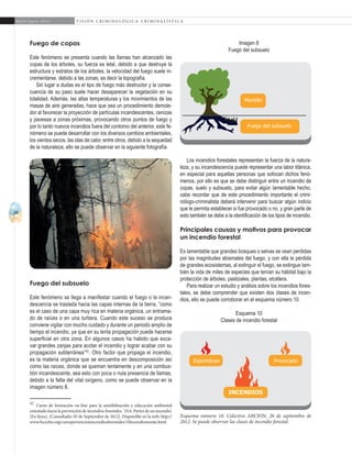 24
A b r i l - J u n i o 2 0 1 5 V I S I Ó N C R I M I N O L Ó G I C A - C R I M I N A L Í S T I C A
Imagen 8
Fuego del subsuelo
Los incendios forestales representan la fuerza de la natura-
leza, y su incandescencia puede representar una labor titánica,
en especial para aquellas personas que sofocan dichos fenó-
menos, por ello es que se debe distinguir entre un incendio de
copas, suelo y subsuelo, para evitar algún lamentable hecho,
cabe recordar que de este procedimiento importante el crimi-
nólogo-criminalista deberá intervenir para buscar algún indicio
que le permita establecer si fue provocado o no, y gran parte de
esto también se debe a la identificación de los tipos de incendio.
Principales causas y motivos para provocar
un incendio forestal
Es lamentable que grandes bosques o selvas se vean perdidas
por las magnitudes abismales del fuego, y con ella la pérdida
de grandes ecosistemas, al extinguir el fuego, se extingue tam-
bién la vida de miles de especies que tenían su hábitat bajo la
protección de árboles, pastizales, plantas, etcétera.
Para realizar un estudio y análisis sobre los incendios fores-
tales, se debe comprender que existen dos clases de incen-
dios, ello se puede corroborar en el esquema número 10.
Esquema 10
Clases de incendio forestal
Fuego de copas
Este fenómeno se presenta cuando las llamas han alcanzado las
copas de los árboles, su fuerza es letal, debido a que destruye la
estructura y estratos de los árboles, la velocidad del fuego suele in-
crementarse, debido a las zonas; es decir la topografía.
Sin lugar a dudas es el tipo de fuego más destructor y la conse-
cuencia de su paso suele hacer desaparecer la vegetación en su
totalidad. Además, las altas temperaturas y los movimientos de las
masas de aire generadas, hace que sea un procedimiento demole-
dor al favorecer la proyección de partículas incandescentes, cenizas
y pavesas a zonas próximas, provocando otros puntos de fuego y
por lo tanto nuevos incendios fuera del contorno del anterior, este fe-
nómeno se puede desarrollar con los diversos cambios ambientales,
los vientos secos, las olas de calor, entre otros, debido a la sequedad
de la naturaleza, ello se puede observar en la siguiente fotografía.
Fuego del subsuelo
Este fenómeno se llega a manifestar cuando el fuego o la incan-
descencia se traslada hacia las capas internas de la tierra, “como
es el caso de una capa muy rica en materia orgánica, un entrama-
do de raíces o en una turbera. Cuando este suceso se produce
conviene vigilar con mucho cuidado y durante un periodo amplio de
tiempo el incendio, ya que en su lenta propagación puede hacerse
superficial en otra zona. En algunos casos ha habido que exca-
var grandes zanjas para acotar el incendio y lograr acabar con su
propagación subterránea”42
. Otro factor que propaga el incendio,
es la materia orgánica que se encuentra en descomposición así
como las raíces, donde se queman lentamente y en una combus-
tión incandescente, sea esto con poca o nula presencia de llamas,
debido a la falta del vital oxígeno, como se puede observar en la
imagen número 8.
42
Curso de formación on-line para la sensibilización y educación ambiental
orientado hacia la prevención de incendios forestales. ’10.6. Partes de un incendio’.
[En línea]. [Consultado: 05 de Septiembre de 2012]. Disponible en la web: http://
www.fuciclm.org/cursoprevencionincendiosforestales/10incendiomonte.html
Mantillo
Fuego del subsuelo
Espontáneo Provocado
incendios
Esquema número 10. Colectivo ARCION, 26 de septiembre de
2012. Se puede observar las clases de incendio forestal.
 