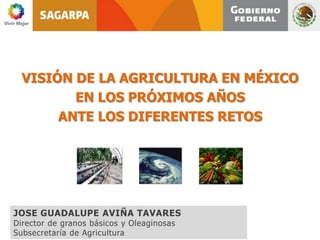 VISIÓN DE LA AGRICULTURA EN MÉXICO
         EN LOS PRÓXIMOS AÑOS
       ANTE LOS DIFERENTES RETOS




JOSE GUADALUPE AVIÑA TAVARES
Director de granos básicos y Oleaginosas
Subsecretaría de Agricultura
 