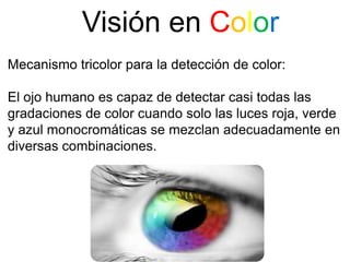 Visión en Color
Mecanismo tricolor para la detección de color:

El ojo humano es capaz de detectar casi todas las
gradaciones de color cuando solo las luces roja, verde
y azul monocromáticas se mezclan adecuadamente en
diversas combinaciones.
 