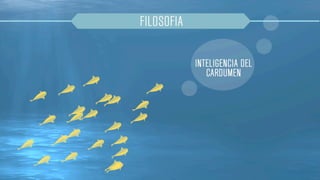 Dinamización de los focos
 