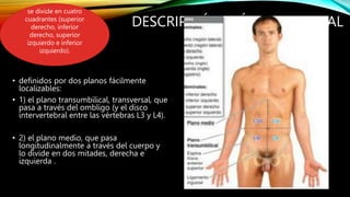 DESCRIPCIÓN CLÍNICA GENERAL
• definidos por dos planos fácilmente
localizables:
• 1) el plano transumbilical, transversal, que
pasa a través del ombligo (y el disco
intervertebral entre las vértebras L3 y L4).
• 2) el plano medio, que pasa
longitudinalmente a través del cuerpo y
lo divide en dos mitades, derecha e
izquierda .
se divide en cuatro
cuadrantes (superior
derecho, inferior
derecho, superior
izquierdo e inferior
izquierdo).
 