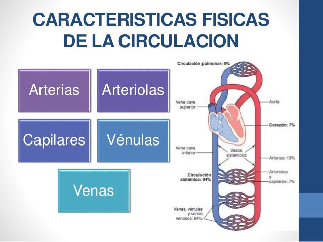 Imagen relacionada