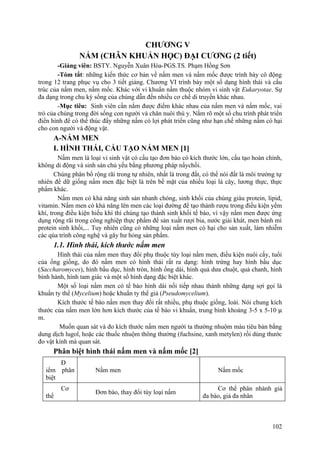 CHƯƠNG V
NẤM (CHÂN KHUẨN HỌC) ĐẠI CƯƠNG (2 tiết)
-Giảng viên: BSTY. Nguyễn Xuân Hòa-PGS.TS. Phạm Hồng Sơn
-Tóm tắt: những kiến thức cơ bản về nấm men và nấm mốc được trình bày cô động
trong 12 trang phục vụ cho 3 tiết giảng. Chương VI trình bày một số dạng hình thái và cấu
trúc của nấm men, nấm mốc. Khác với vi khuẩn nấm thuộc nhóm vi sinh vật Eukaryotae. Sự
đa dạng trong chu kỳ sống của chúng dẫn đến nhiều cơ chế di truyền khác nhau.
-Mục tiêu: Sinh viên cần nắm được điểm khác nhau của nấm men và nấm mốc, vai
trò của chúng trong đời sống con người và chăn nuôi thú y. Nắm rõ một số chu trình phát triển
điển hình để có thể thúc đẩy những nấm có lợi phát triển cũng như hạn chế những nấm có hại
cho con người và động vật.
A-NẤM MEN
I. HÌNH THÁI, CẤU TẠO NẤM MEN [1]
Nấm men là loại vi sinh vật có cấu tạo đơn bào có kích thước lớn, cấu tạo hoàn chỉnh,
không di động và sinh sản chủ yếu bằng phương pháp nẩychồi.
Chúng phân bổ rộng rãi trong tự nhiên, nhất là trong đất, có thể nói đất là môi trường tự
nhiên để dữ giống nấm men đặc biệt là trên bề mặt của nhiều loại lá cây, lương thực, thực
phẩm khác.
Nấm men có khả năng sinh sản nhanh chóng, sinh khối của chúng giàu protein, lipid,
vitamin. Nấm men có khả năng lên men các loại đường để tạo thành rượu trong điều kiện yếm
khí, trong điều kiện hiếu khí thì chúng tạo thành sinh khối tế bào, vì vậy nấm men được ứng
dụng rộng rãi trong công nghiệp thực phẩm để sản xuất rượi bia, nước giải khát, men bánh mì
protein sinh khối,... Tuy nhiên cũng có những loại nấm men có hại cho sản xuất, làm nhiễm
các qúa trình công nghệ và gây hư hỏng sản phẩm.
1.1. Hình thái, kích thước nấm men
Hình thái của nấm men thay đổi phụ thuộc tùy loại nấm men, điều kiện nuôi cấy, tuổi
của ống giống, do đó nấm men có hình thái rất ra dạng: hình trứng hay hình bầu dục
(Saccharomyces), hình bầu dục, hình tròn, hình ống dài, hình quả dưa chuột, quả chanh, hình
bình hành, hình tam giác và một số hình dạng đặc biệt khác.
Một số loại nấm men có tế bào hình dài nối tiếp nhau thành những dạng sợi gọi là
khuẩn ty thể (Mycelium) hoặc khuẩn ty thể giả (Pseudomycelium).
Kích thước tế bào nấm men thay đổi rất nhiều, phụ thuộc giống, loài. Nói chung kích
thước của nấm men lớn hơn kích thước của tế bào vi khuẩn, trung bình khoảng 3-5 x 5-10 µ
m.
Muốn quan sát và đo kích thước nấm men người ta thường nhuộm màu tiêu bản bằng
dung dịch lugol, hoặc các thuốc nhuộm thông thường (fuchsine, xanh metylen) rồi dùng thước
đo vật kính mà quan sát.
Phân biệt hình thái nấm men và nấm mốc [2]
Đ
iểm phân
biệt
Nấm men Nấm mốc
Cơ
thể
Đơn bào, thay đổi tùy loại nấm
Cơ thể phân nhánh giả
đa bào, giả đa nhân
102
 