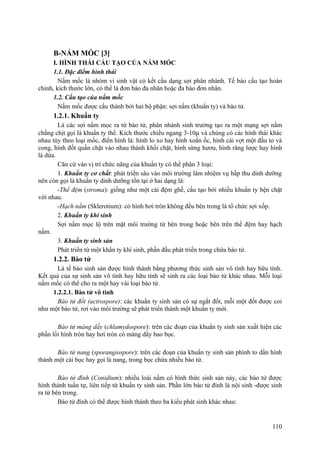 B-NẤM MỐC [3]
I. HÌNH THÁI CẤU TẠO CỦA NẤM MỐC
1.1. Đặc điểm hình thái
Nấm mốc là nhóm vi sinh vật có kết cấu dạng sợi phân nhánh. Tế bào cấu tạo hoàn
chỉnh, kích thước lớn, có thể là đơn bào đa nhân hoặc đa bào đơn nhân.
1.2. Cấu tạo của nấm mốc
Nấm mốc được cấu thành bởi hai bộ phận: sợi nấm (khuẩn ty) và bào tử.
1.2.1. Khuẩn ty
Là các sợi nấm mọc ra từ bào tử, phân nhánh sinh trưởng tạo ra một mạng sợi nấm
chằng chịt gọi là khuẩn ty thể. Kích thước chiều ngang 3-10µ và chúng có các hình thái khác
nhau tùy theo loại mốc, điển hình là: hình lo xo hay hình xoắn ốc, hình cái vợt một đầu to và
cong, hình đốt quấn chặt vào nhau thành khối chặt, hình sừng hươu, hình răng lược hay hình
lá dừa.
Căn cứ vào vị trí chức năng của khuẩn ty có thể phân 3 loại:
1. Khuẩn ty cơ chất: phát triển sâu vào môi trường làm nhiệm vụ hấp thu dinh dưỡng
nên còn gọi là khuẩn ty dinh dưỡng tồn tại ở hai dạng là:
-Thể đệm (stroma): giống như một cái đệm ghế, cấu tạo bởi nhiều khuẩn ty bện chặt
với nhau.
-Hạch nấm (Sklerotium): có hình hơi tròn không đều bên trong là tổ chức sợi xốp.
2. Khuẩn ty khí sinh
Sợi nấm mọc lộ trên mặt môi trường từ bên trong hoặc bên trên thể đệm hay hạch
nấm.
3. Khuẩn ty sinh sản
Phát triển từ một khẩn ty khí sinh, phần đầu phát triển trong chứa bào tử.
1.2.2. Bào tử
Là tế bào sinh sản được hình thành bằng phương thức sinh sản vô tính hay hữu tính.
Kết quả của sự sinh sản vô tính hay hữu tính sẽ sinh ra các loại bào tử khác nhau. Mỗi loại
nấm mốc có thể cho ra một hay vài loại bào tử.
1.2.2.1. Bào tử vô tính
Bào tử đốt (actrospore): các khuẩn ty sinh sản có sự ngắt đốt, mỗi một đốt được coi
như một bào tử, rơi vào môi trường sẽ phát triển thành một khuẩn ty mới.
Bào tử màng dầy (chlamydospore): trên các đoạn của khuẩn ty sinh sản xuất hiện các
phần lồi hình tròn hay hơi tròn có màng dầy bao bọc.
Bào tử nang (sporangiospore): trên các đoạn của khuẩn ty sinh sản phình to dần hình
thành một cái bọc hay gọi là nang, trong bọc chứa nhiều bào tử.
Bào tử đính (Conidium): nhiều loài nấm có hình thức sinh sản này, các bào tử được
hình thành tuần tự, liên tiếp từ khuẩn ty sinh sản. Phần lớn bào tử đính là nội sinh -được sinh
ra từ bên trong.
Bào tử đính có thể được hình thành theo ba kiểu phát sinh khác nhau:
110
 