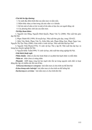 -Câu hỏi ôn tập chương:
1. So sánh đặc điểm hình thái của nấm men và nấm mốc.
2. Điểm khác nhau cơ bản trong cấu trúc nấm và vi khuẩn.
3. Kế tên một số nấm có lợi và một số tên nấm có hại cho con người động vật
4. Các phương thức sinh sản của nấm men.
-Tài liệu tham khảo:
1. Nguyễn Lân Dũng, Nguyễn Đình Quyến, Phạm Văn Ty (2000). Nhà xuất bản giáo
dục Hà Nội.
2. Phạm Thành Hổ (1999). Di truyền học. Nhà xuất bản giáo dục, trang 320-422.
3. Biền Văn Minh, Phạm Văn Ty, Kiều Hữu ảnh, Phạm Hồng Sơn, Phạm Ngọc Lan,
Nguyễn Thị Thu Thủy (2006). Giáo trình vi sinh vật học. Nhà xuất bản Đại học Huế.
4. Nguyễn Vĩnh Phước(1976). Vi sinh vật học Thú y tập III. Nhã xuất bản đại học và
trung học chuyên nghiệp Hà Nội.
5. Nguyễn Khắc Tuấn(1999). Vi sinh vật học, nhà xuất bản nông nghiệp Hà Nội.
-Giải thích thuật ngữ:
-Nhân chuẩn: nhân có cấu trúc hoàn thiện có sự phân hóa hạch nhân và chất nhân
-Nhân sơ: nhân chưa có màng nhân
-Plasmid: ADN dạng vòng kín hai mạch nhỏ tồn tại trong nguyên sinh chất và hoạt
động độc lập với nhiễm sắc thể của tế bào.
Schizosaccharomyces octospous: loài nấm men có chu trình ưu thế đơn bội
-Schacchomycodes ludwigii: loài nấm men có chu trình ưu thế lưỡng bội
-Sacharomyces cervisiae: loài nấm men có chu trình đơn bội
113
 